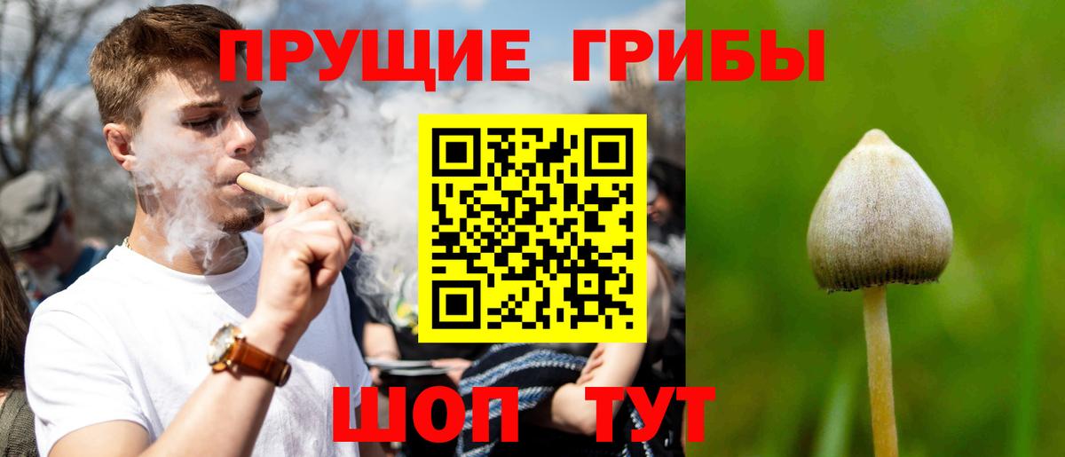 Псилоцибиновые грибы мицелий Вязники