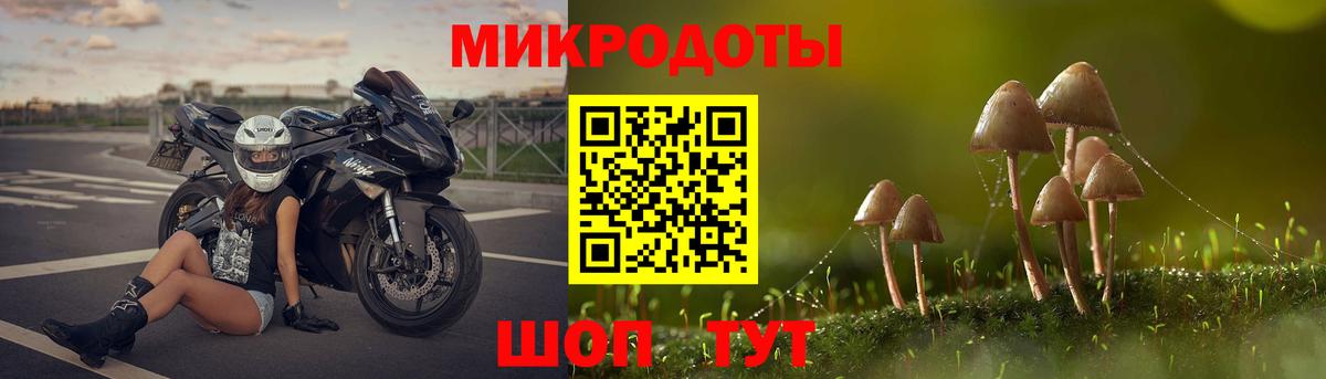 Псилоцибиновые грибы прущие грибы  Вход с VPN  Псилоцибиновые грибы MAGIC MUSHROOMS  Вязники 